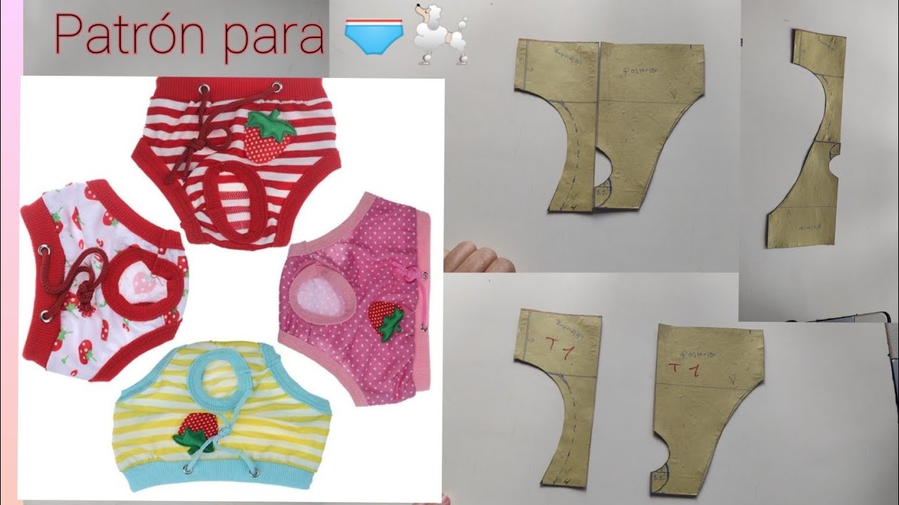 patrón de calzón 🐩para celo,braga, escalado de tallas, cómo tomar las medidas y como ubicarlas