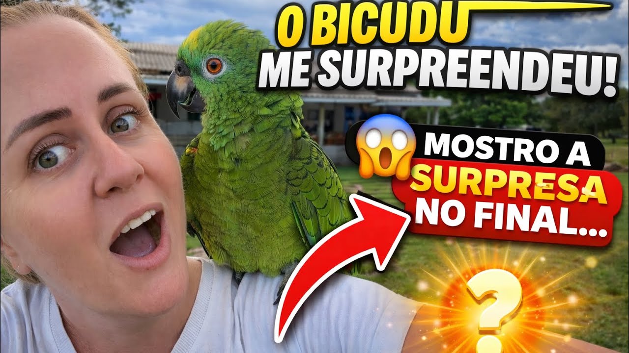 👉 O BICUDO ME SURPREENDEU… EU NÃO ACREDITEI NO QUE ELE FEZ! 😱🦜