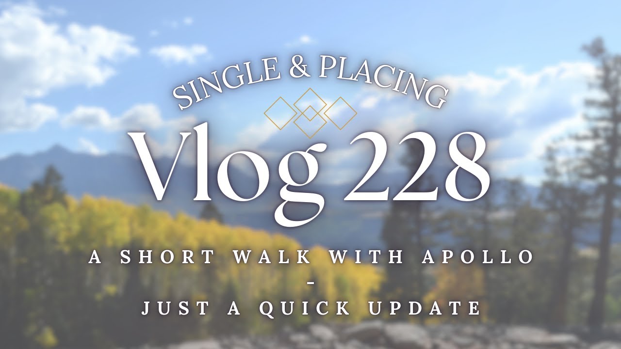 Vlog: Episode 228 - A Walk With Apollo - Just A Quick Update #diamondpainting #vlog #dogwalk