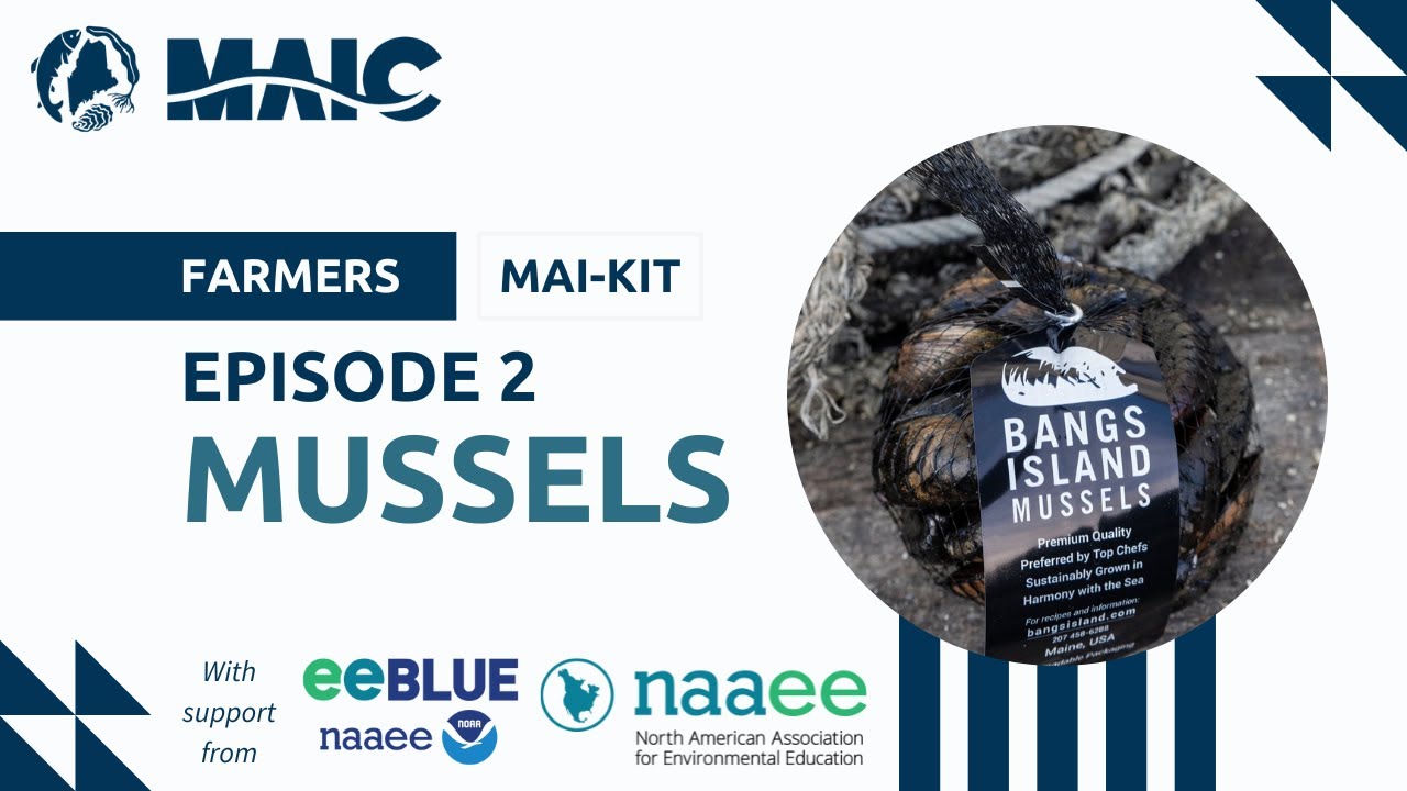 Farmers MAI-kit, Episode 2: Blue Mussels