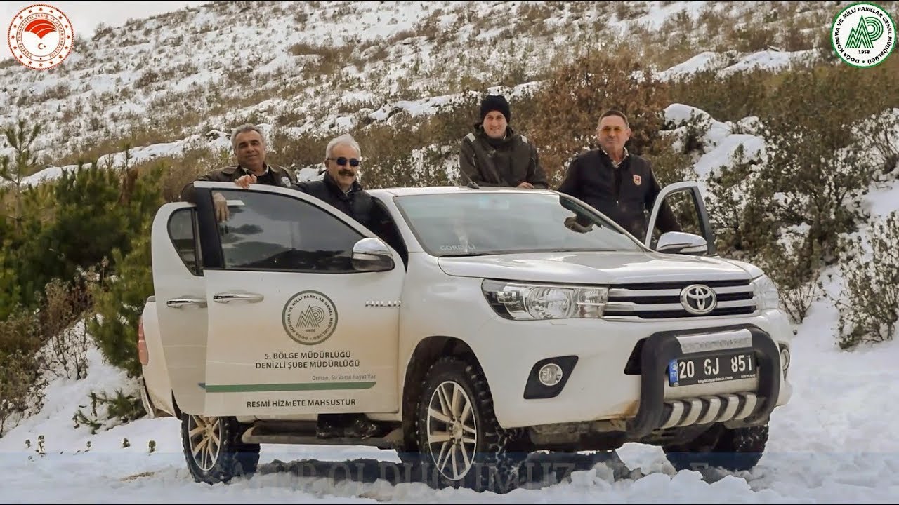 YABAN HAYATI KIŞ YEMLEMESİ || AKDAĞ YHGS