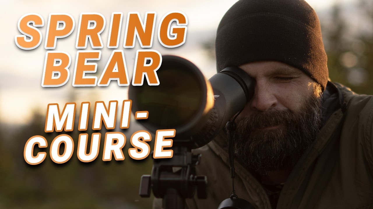 How to Kill Spring Bears: A No-BS Mini-Course