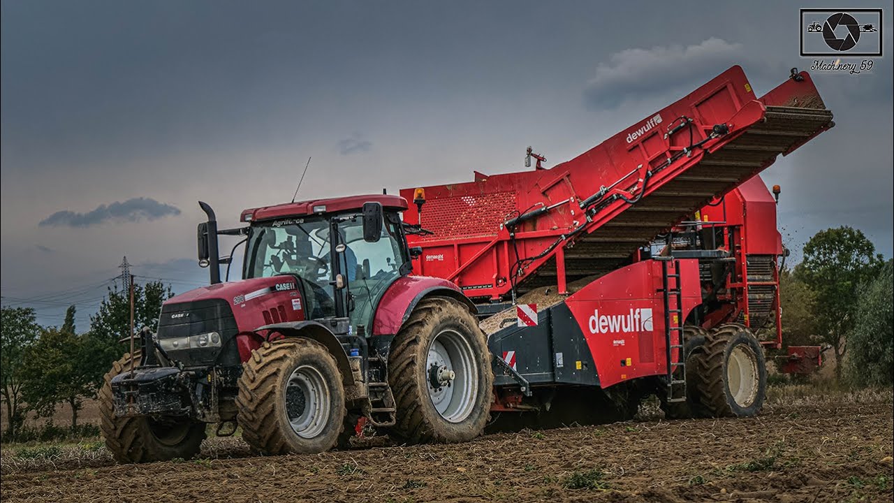 Arrachage de PDT | Case ih puma 200 cvx & Dewulf ra2060