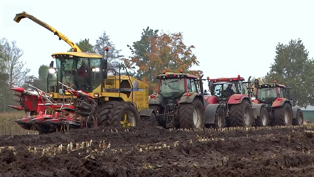 Mais Silage In The Mud | New Holland FX + Valtra | Nap