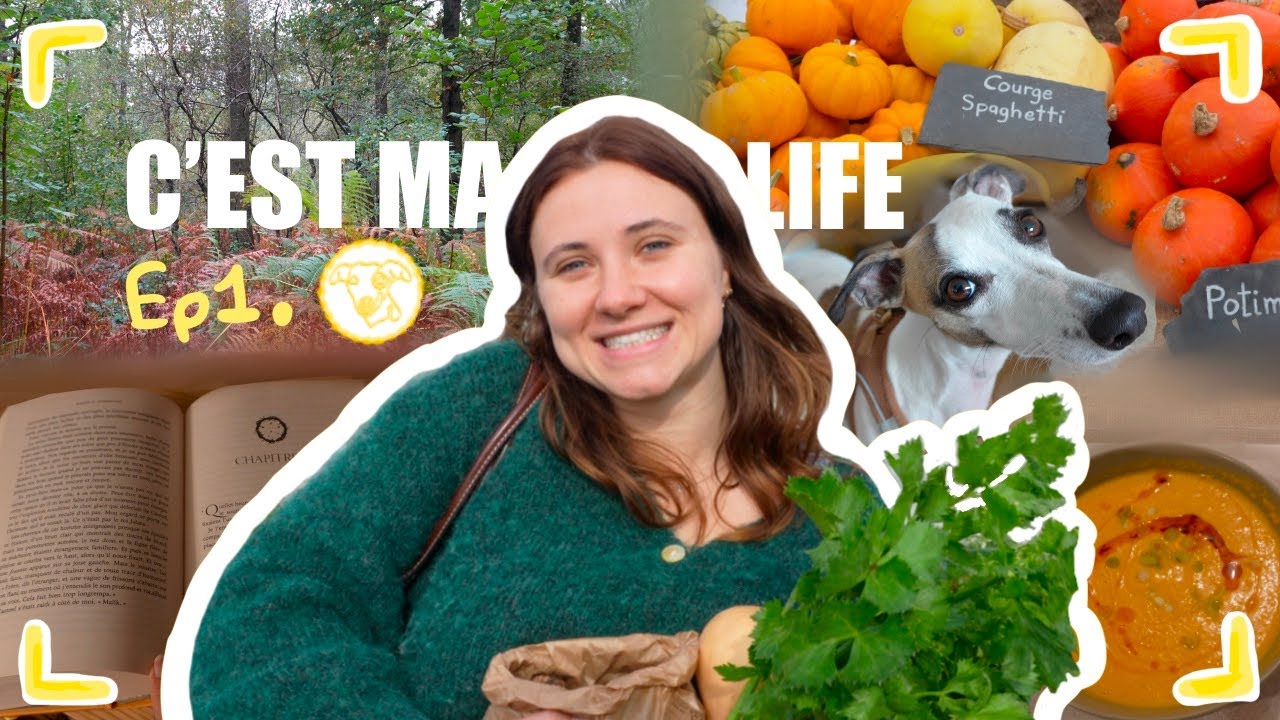 Organisation, lecture, rangement et promenades｜C'est ma Life Ep.1