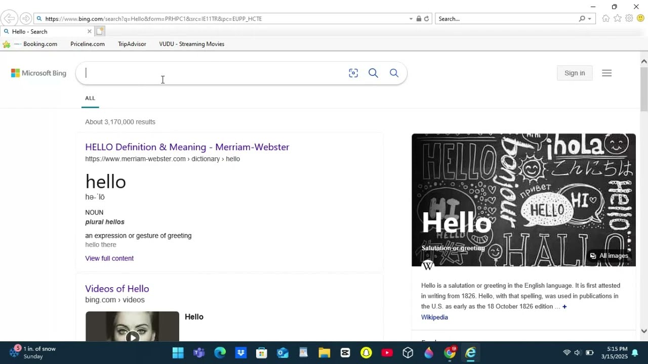 Internet Explorer in 2025!!!