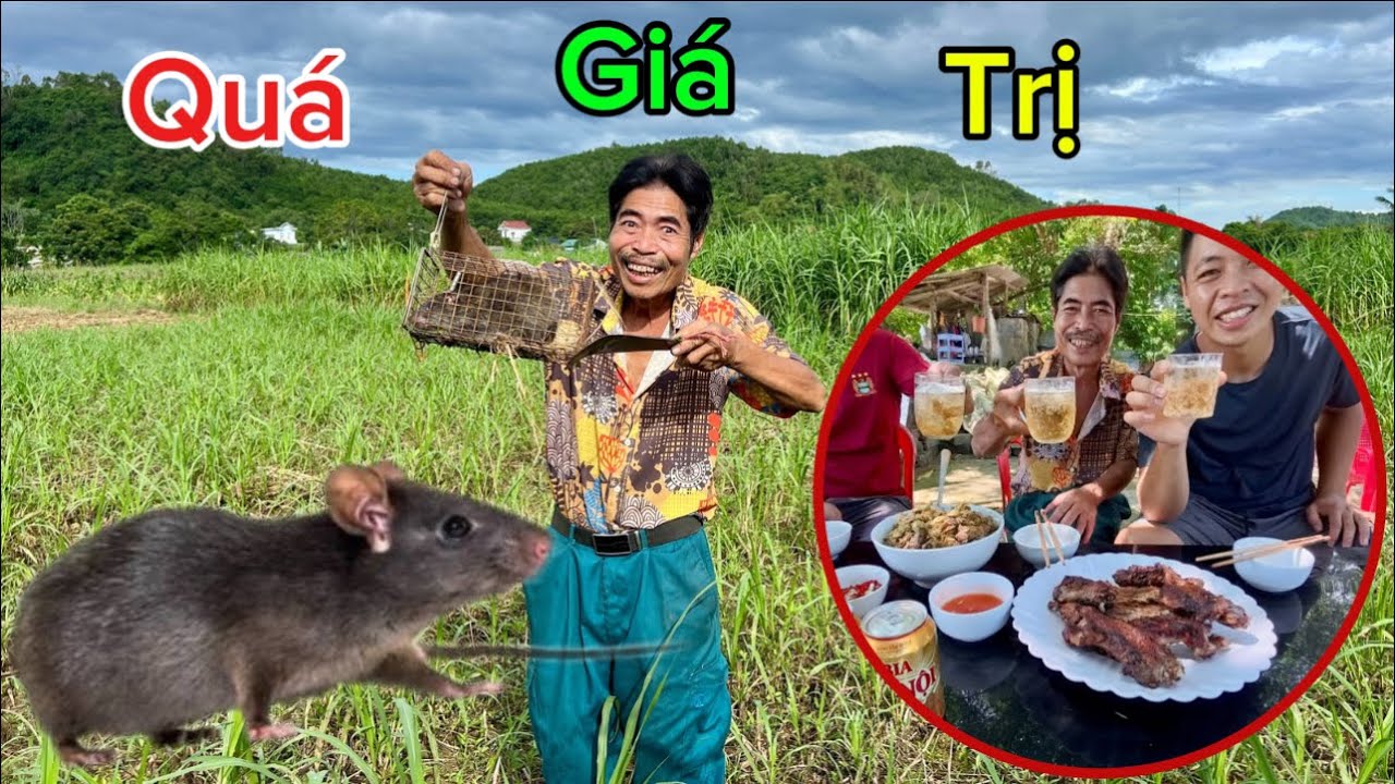 Lâu Lâu Làm Bữa Chuột Đồng Nấu Rựa Mận Ngon Nhức Nách | HUY ANH TV 