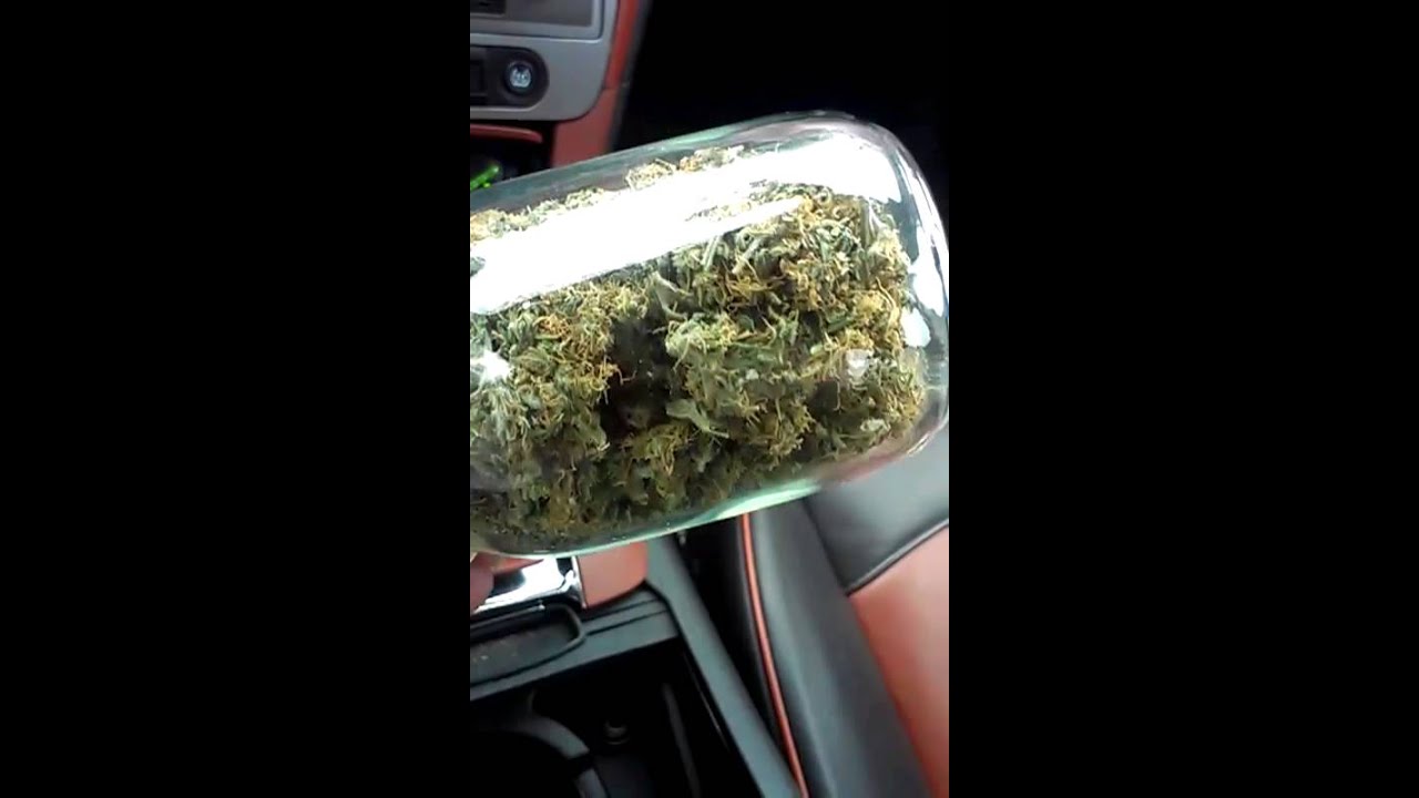 Kandy kush view