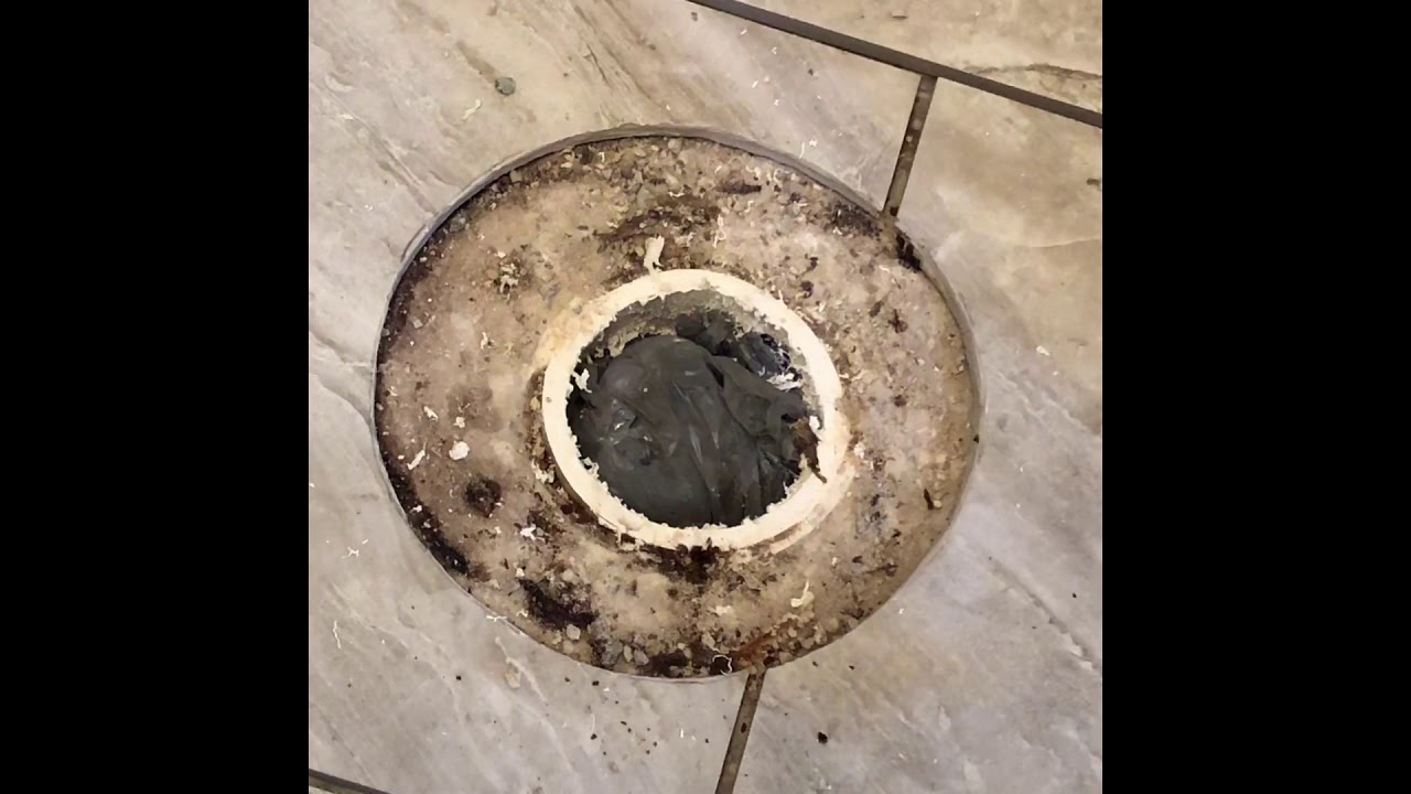 Broken PVC Toilet Flange Repair