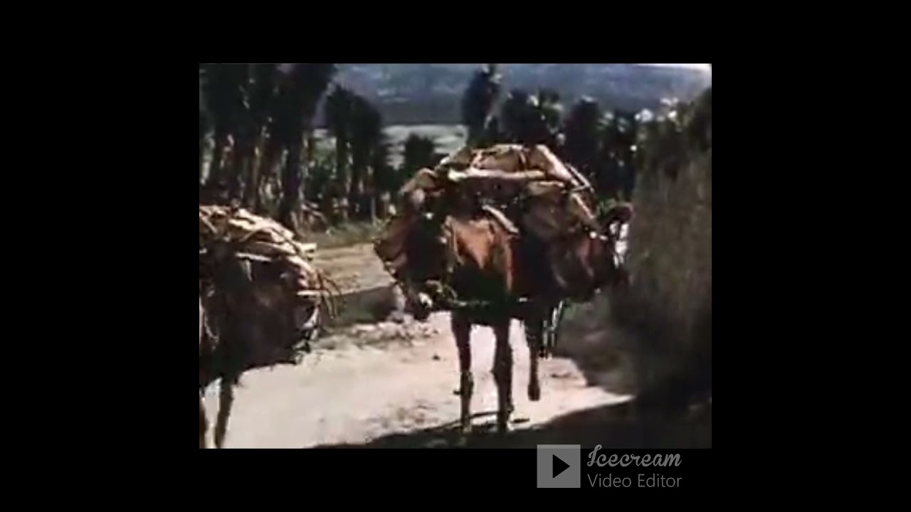 Santiago Tlacotepec 1958 versión en español