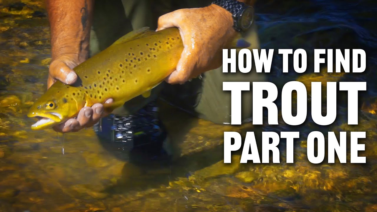 How to Find Trout Part 1 with Tom Rosenbauer