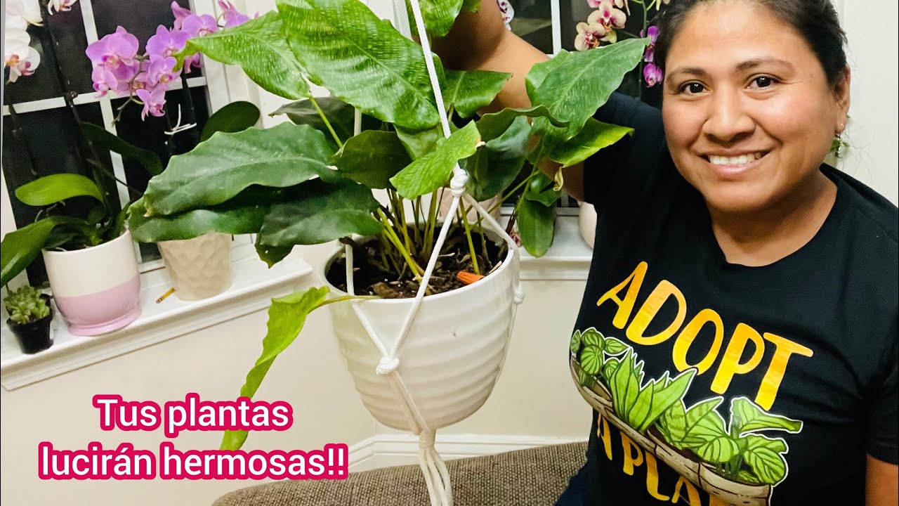 Como hacer un macram&eacute; o porta macetas en menos de 5 minutos