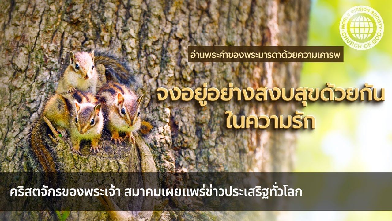 จงอยู่อย่างสงบสุขด้วยกันในความรัก | คริสตจักรของพระเจ้า