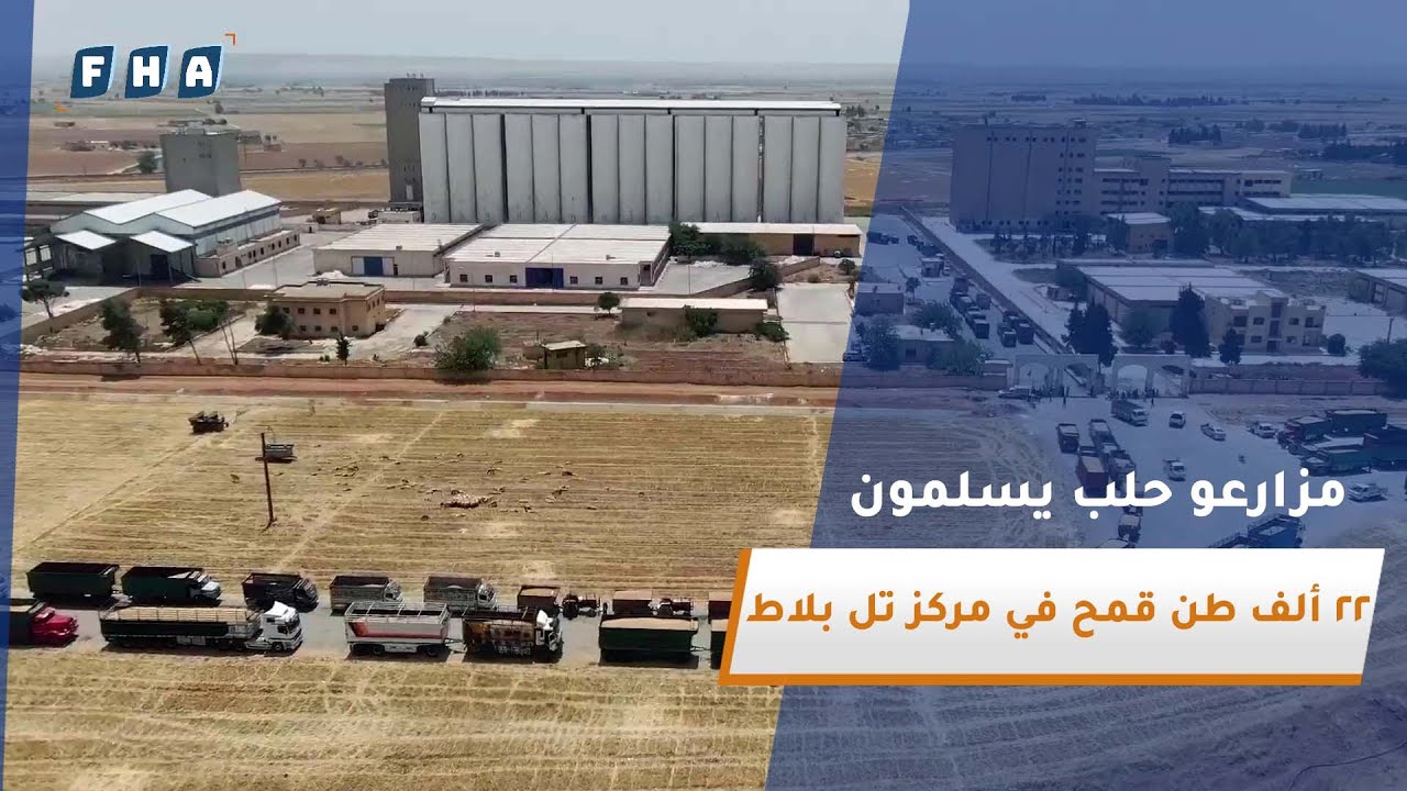 المؤسسة السورية للحبوب تستلم 22 ألف طن من القمح وسط إقبال كبير من المزارعين