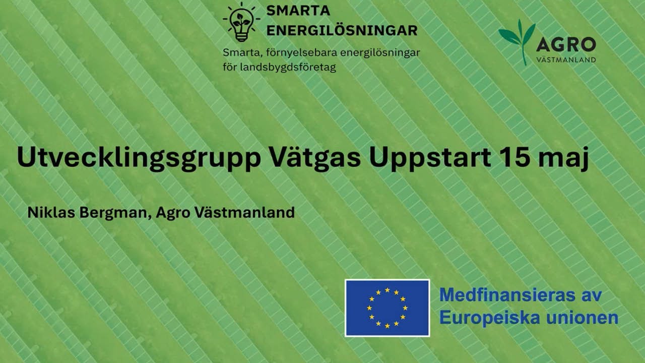 Webbinarie Utvecklingsgrupp Vätgas, träff 1