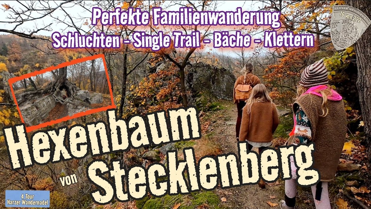 Stecklenberg bei Thale | Familien-Abenteuer zwischen Felsen, Burgen & Hexensagen im Harz