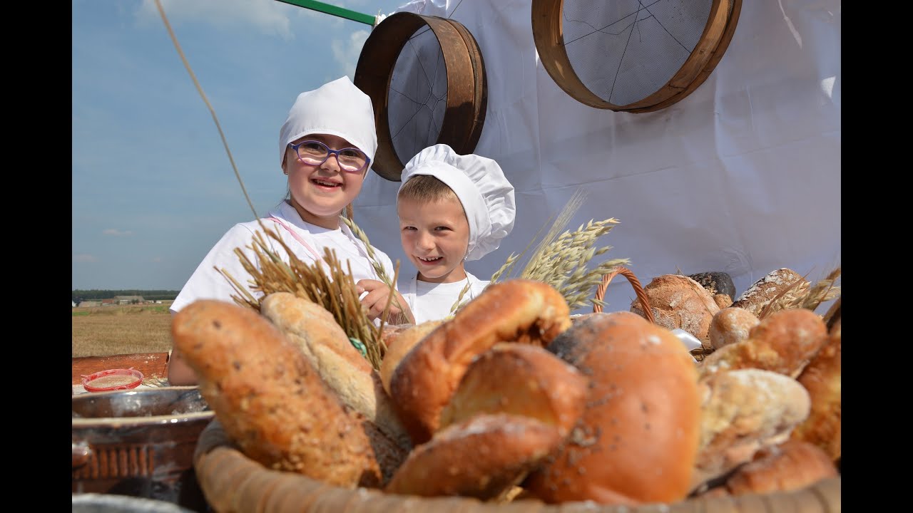 Dożynki Gminne 2016 - Zborowskie (Gmina Ciasna) Korowód Dożynkowy