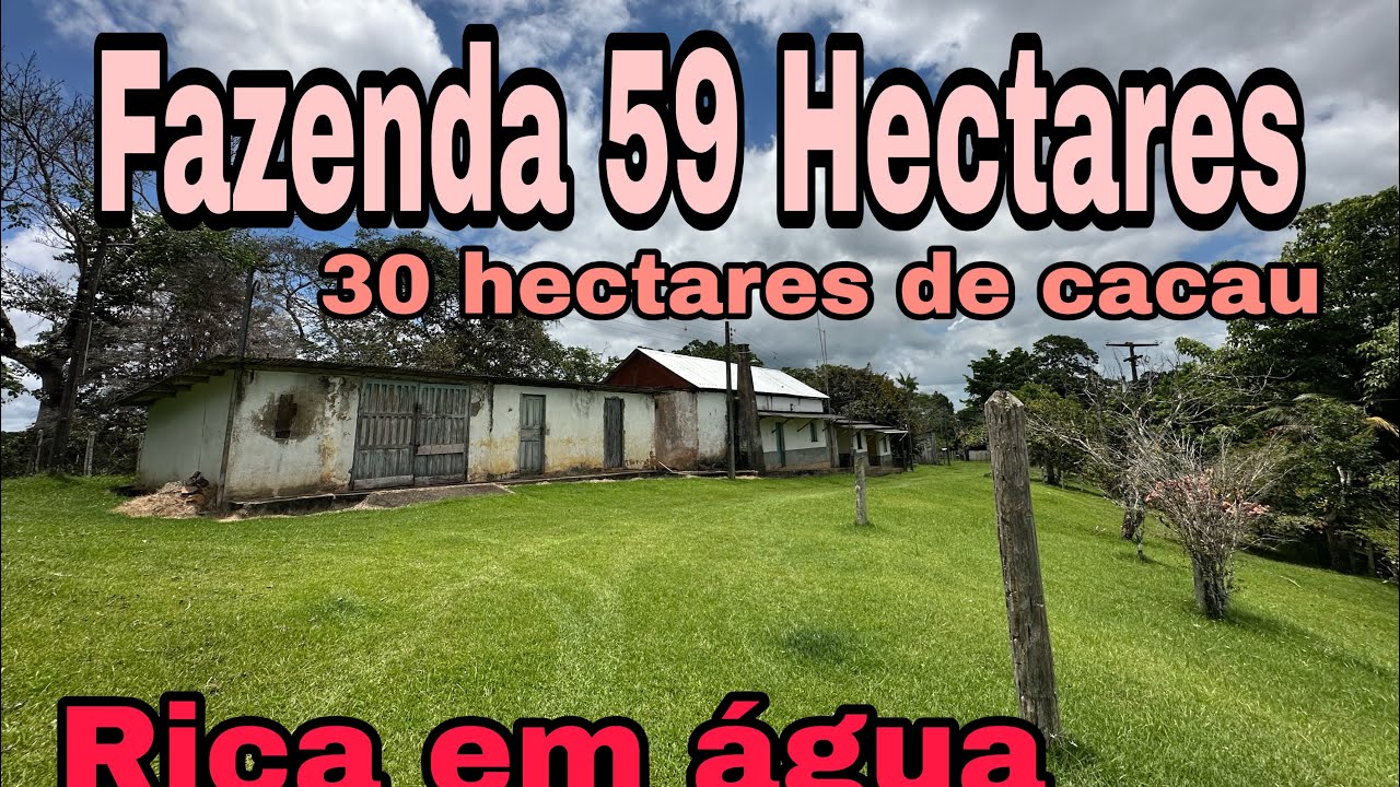Fazenda 59 hectares com 32 hectares no Cacau. Localizado em ilhéus 