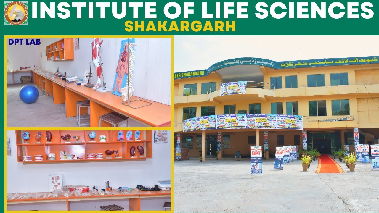 DPT Lab in #instituteoflifesciencesshakargarh/#ilsskg