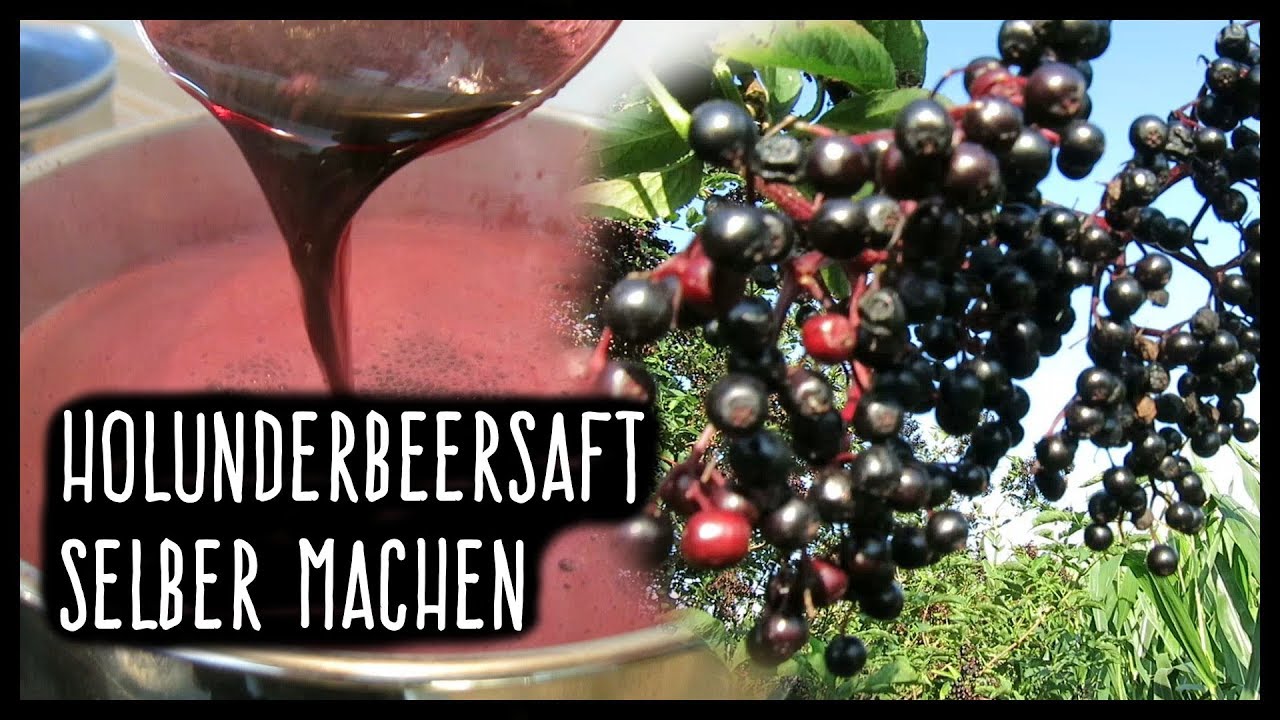 Holunderbeerensaft selber machen | Dampfentsafter