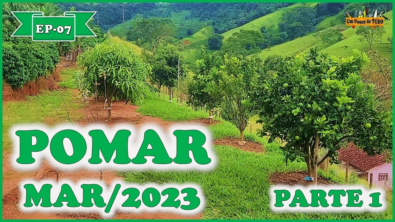Atualização do Pomar MAR/2023 - Parte1 [ Mini Chácara EP-07 ]