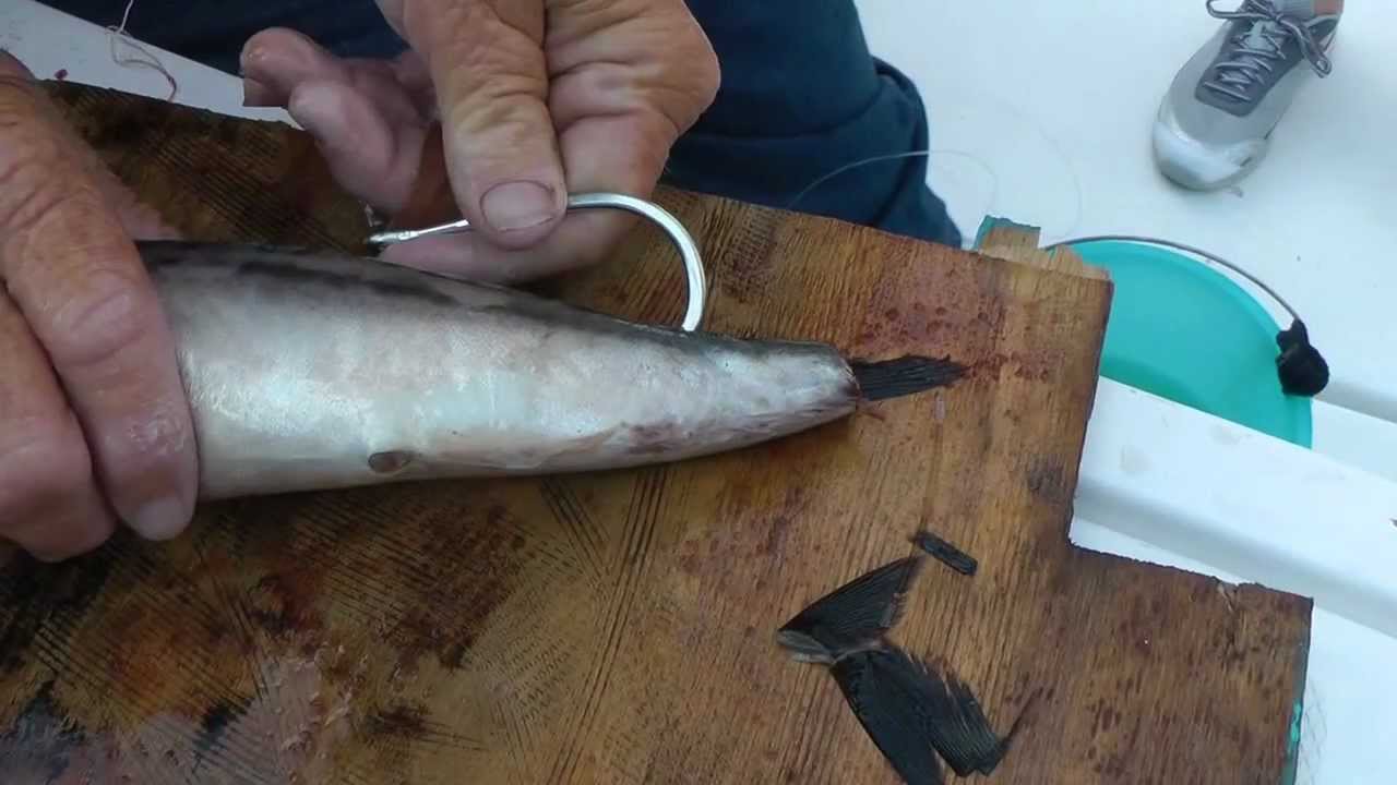 Nighttime Swordfish Drifting Mackarel Rigging by Capt. Bouncer