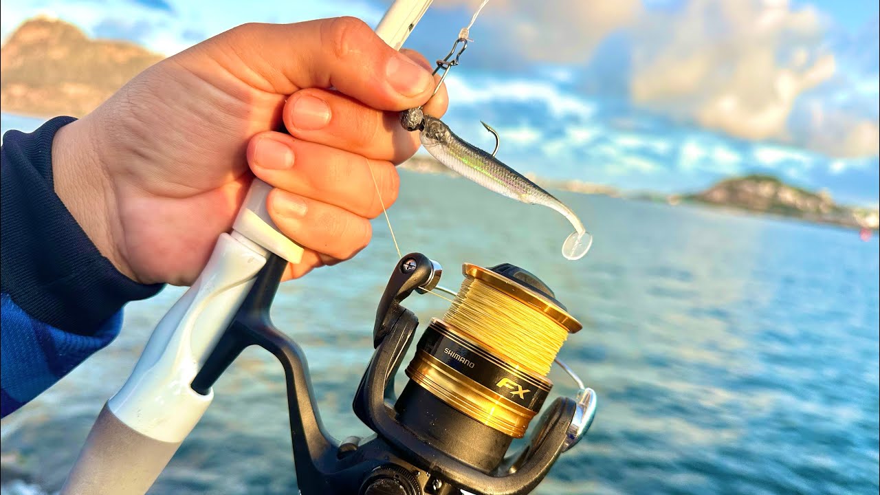 PESCANDO con SEÑUELO TIPO SARDINA // que tan efectivo es?