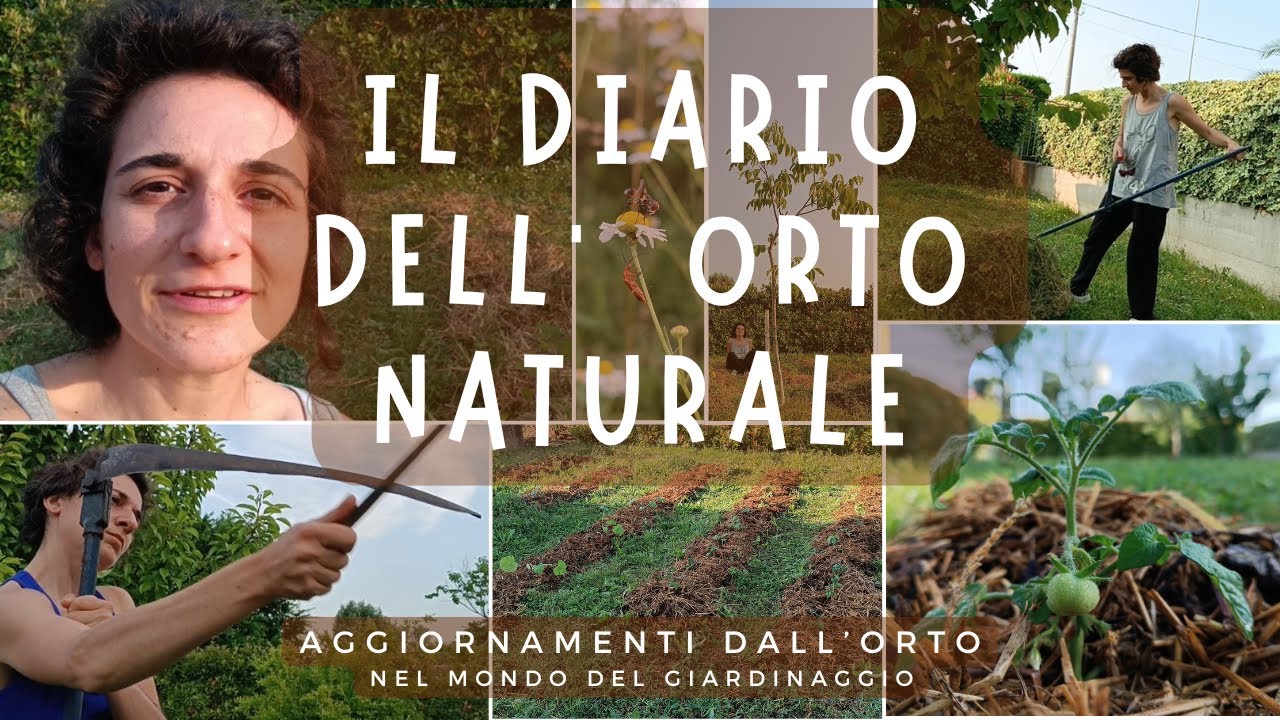 Diario dell'Orto Naturale - Aggiornamenti dall'orto (fine maggio-inizio giugno) | #ORTO NATURALE 4