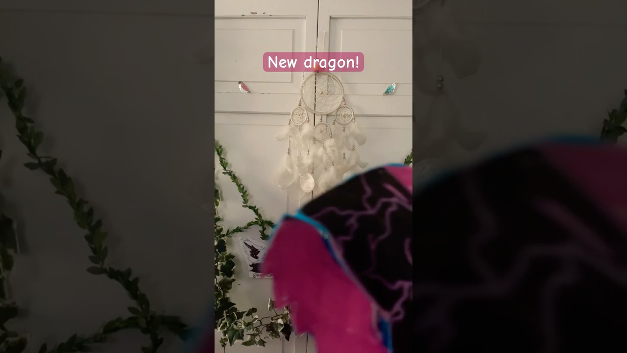 New dragon 😝 