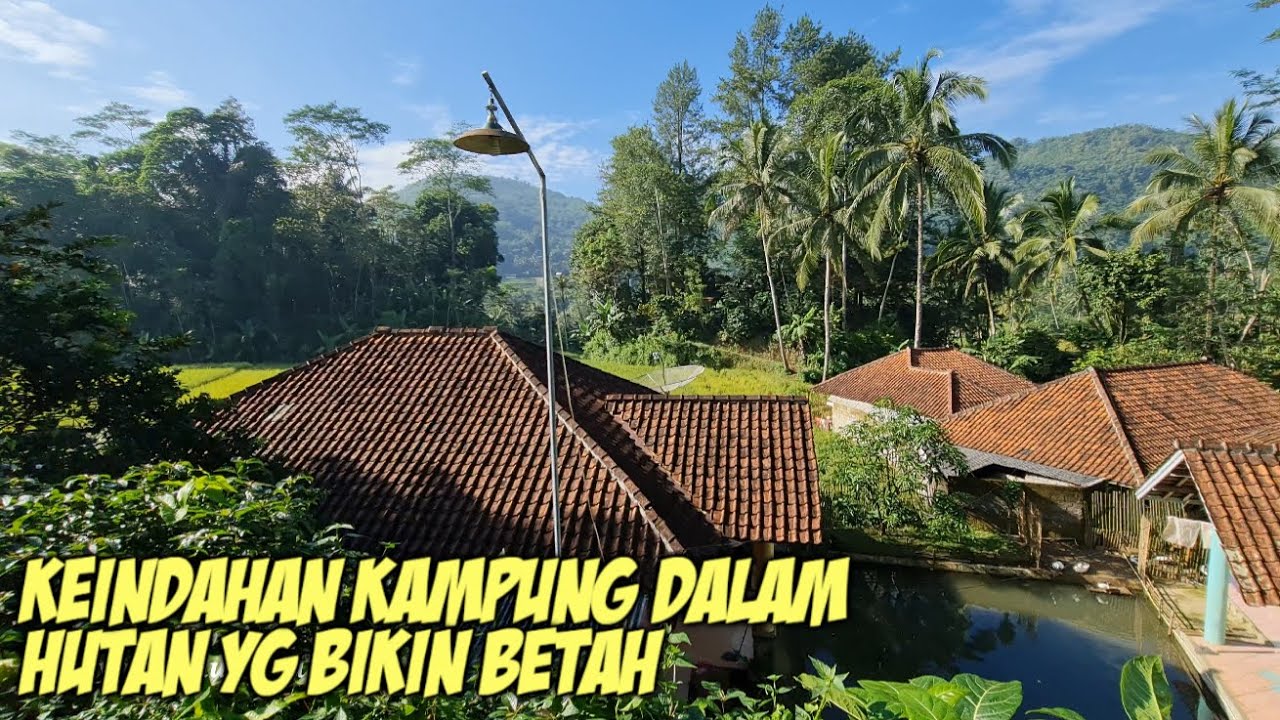 PEMANDANGAN KAMPUNG DALAM HUTAN YG BIKIN BETAH