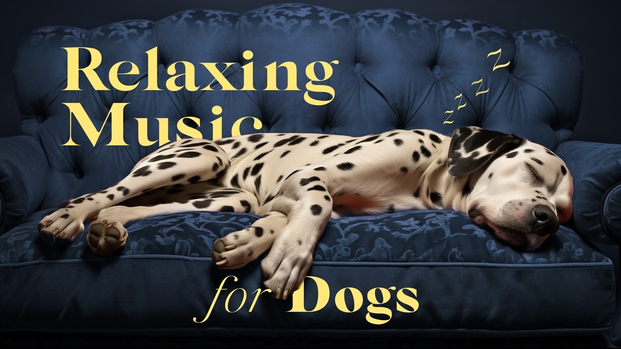 Music for Dogs 🐶 Is Your Dog Struggling to Rest? Help Your Puppy Relax | Beethoven 