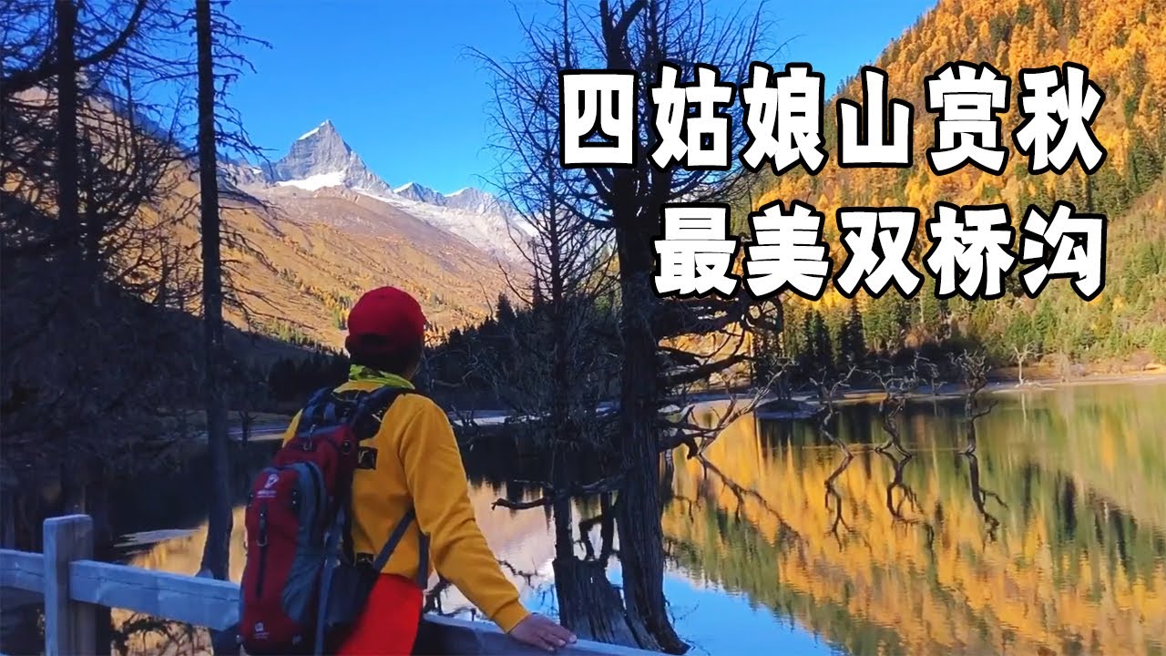 四姑娘山赏秋，美翻了，这可能是你见过的最美双桥沟视频了【行走世界的北京老刘】