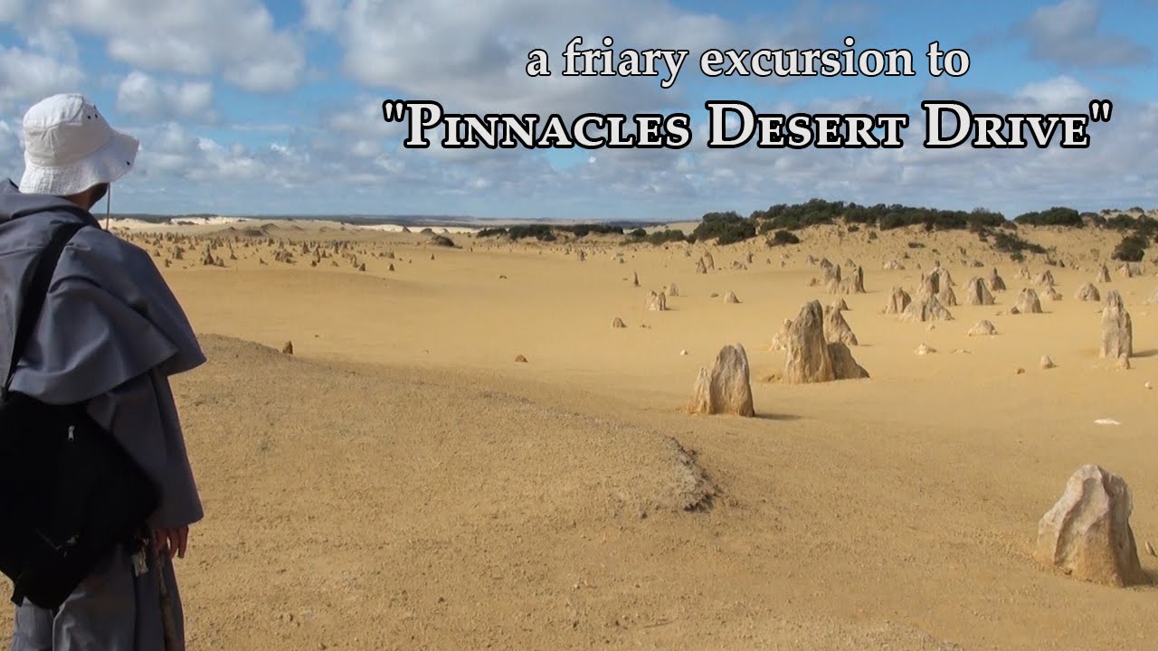 Visit to the Pinnacles