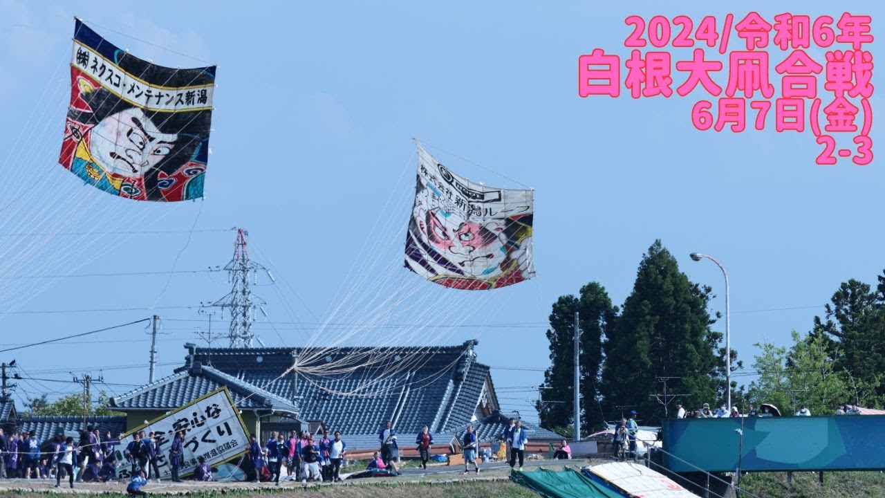 白根大凧合戦2024' 令和6年6月7日(金)二日目その３！！ japanese Shirone Giant Kite Battle