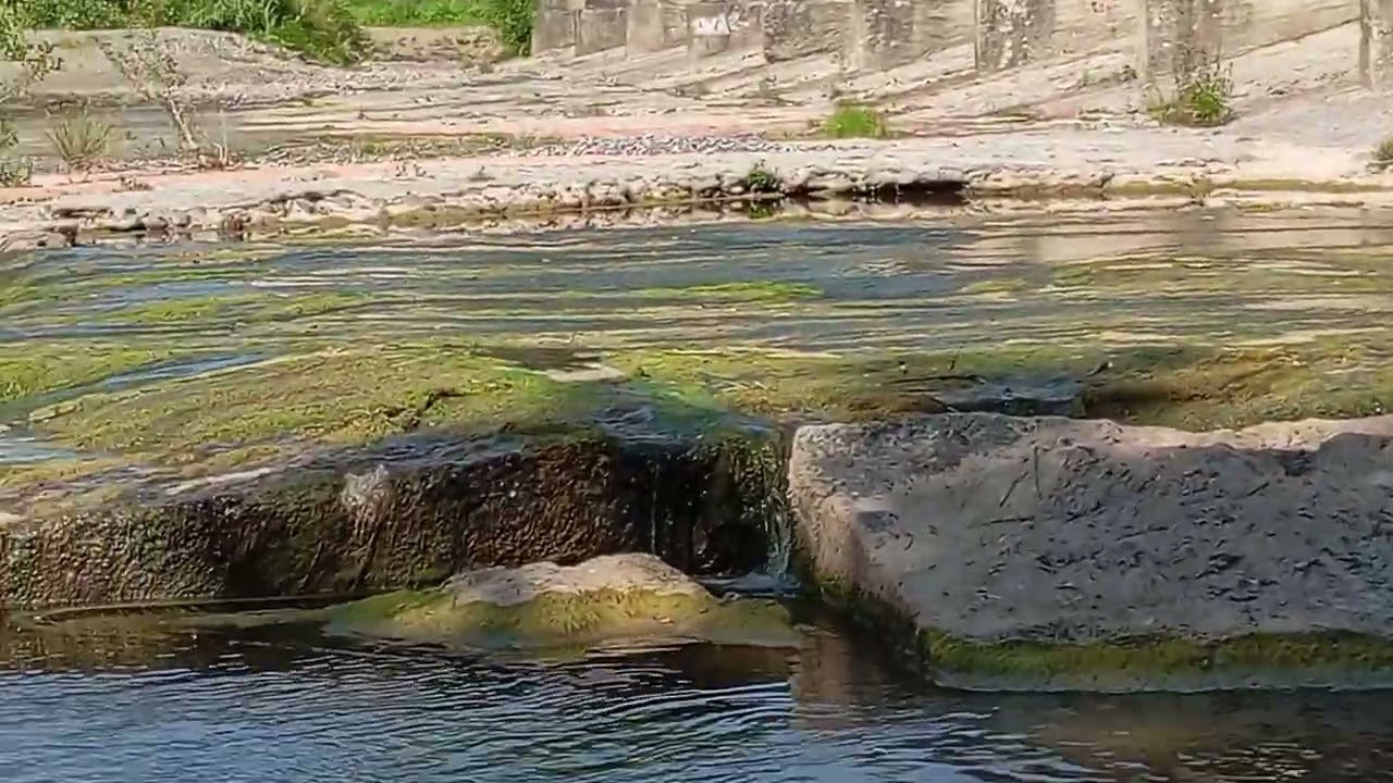 fiume Cecina, Ponteginori