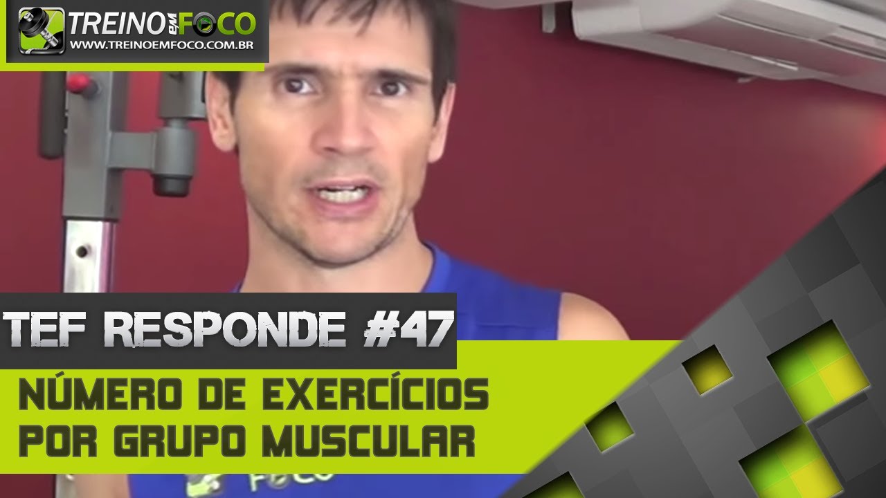 Número de exercícios por grupo muscular - TEF Responde #47