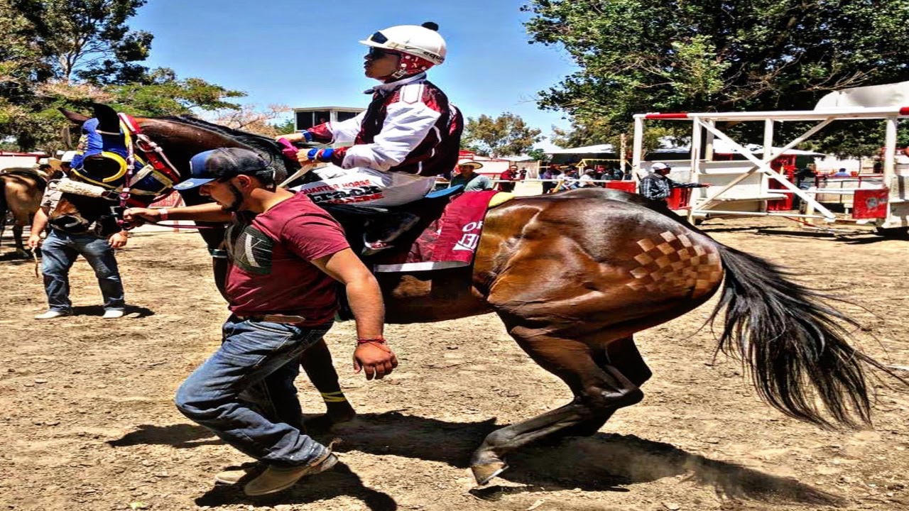 EL NACHO CORONEL - AARON CHAVEZ Y SUS TAPADOS