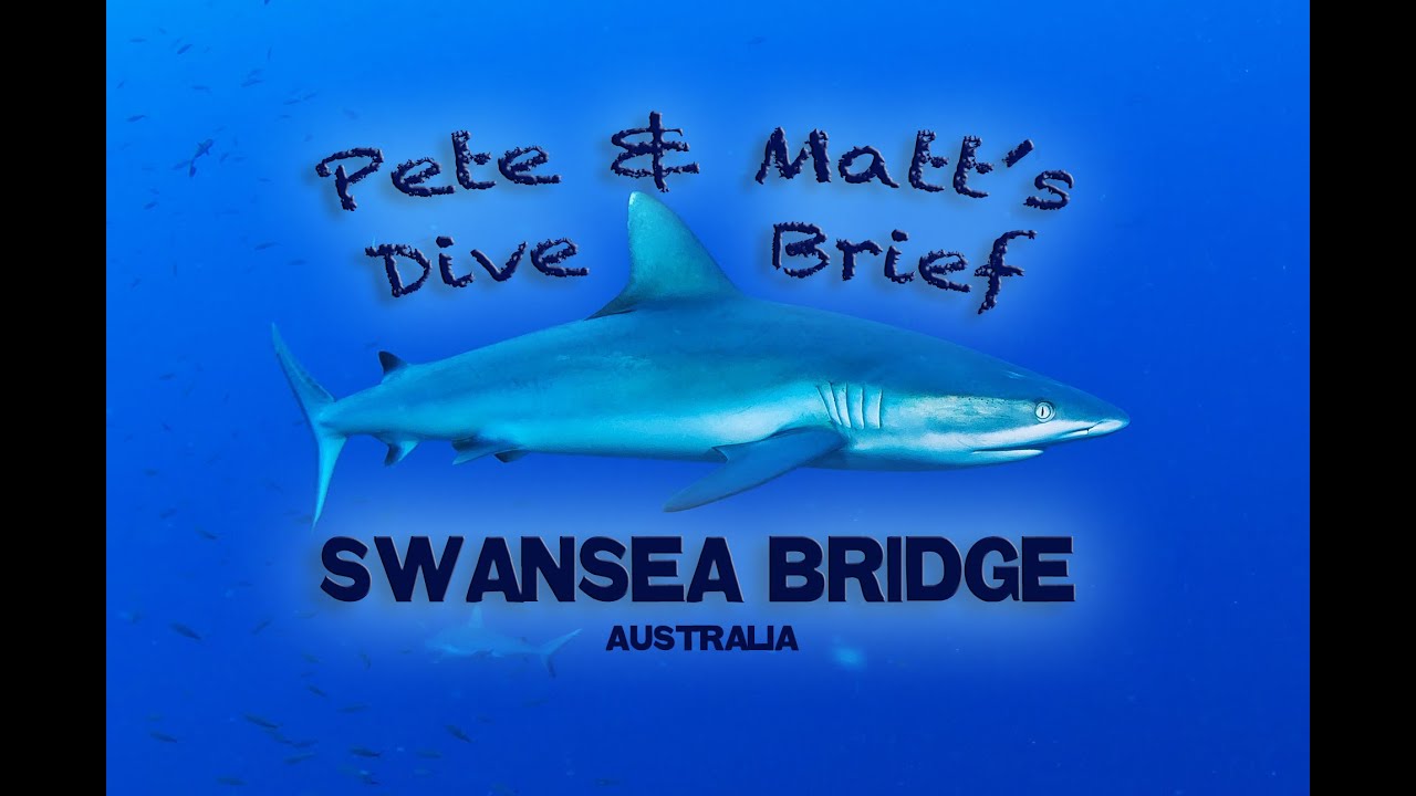 Pete and Matt's Dive Brief of Swansea Bridge