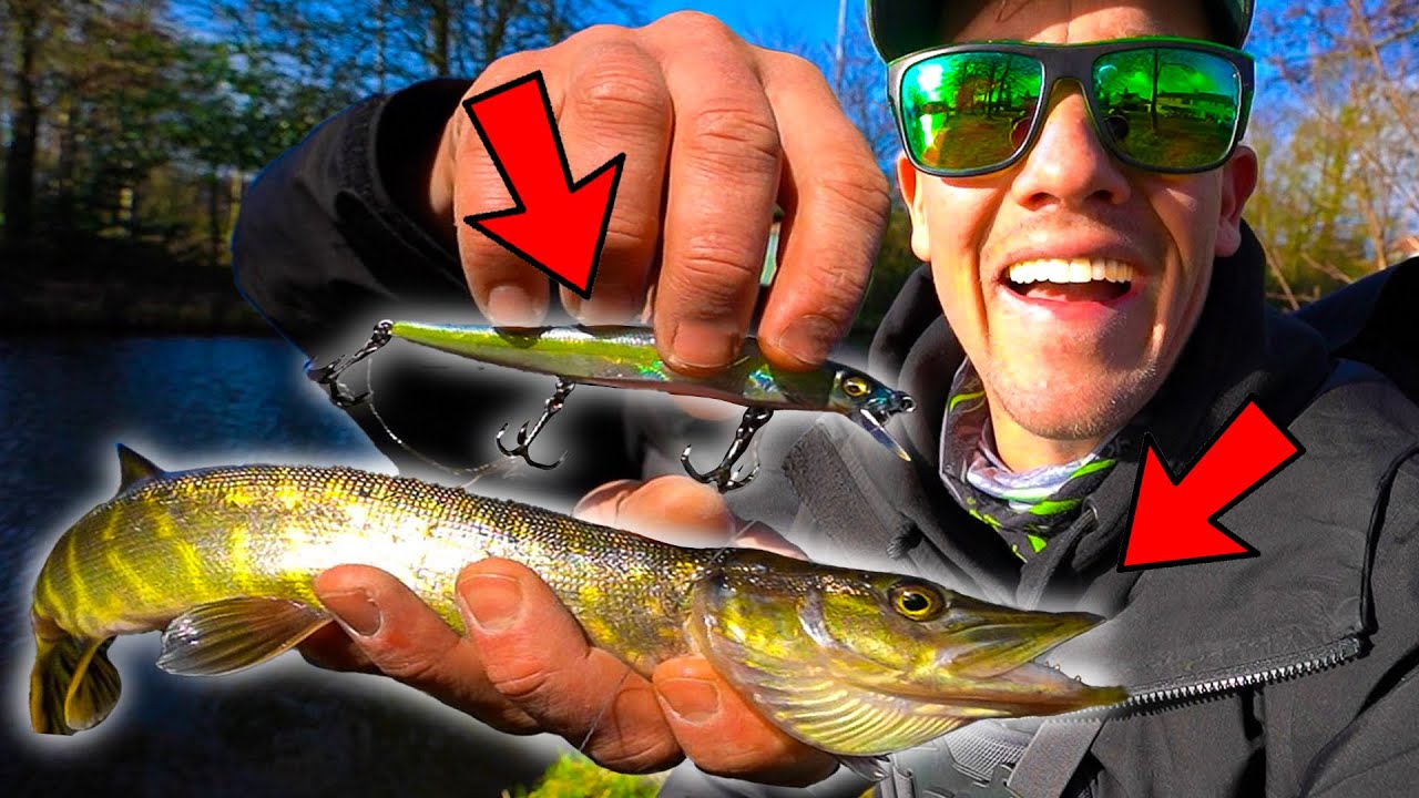 SNOEKEN ZIJN HELEMAAL GEK! - VLOG 123