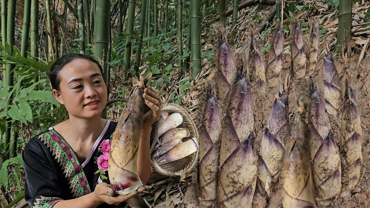17 year old single girl: picking bamboo shoots underground to sell - cooking | anh hmong