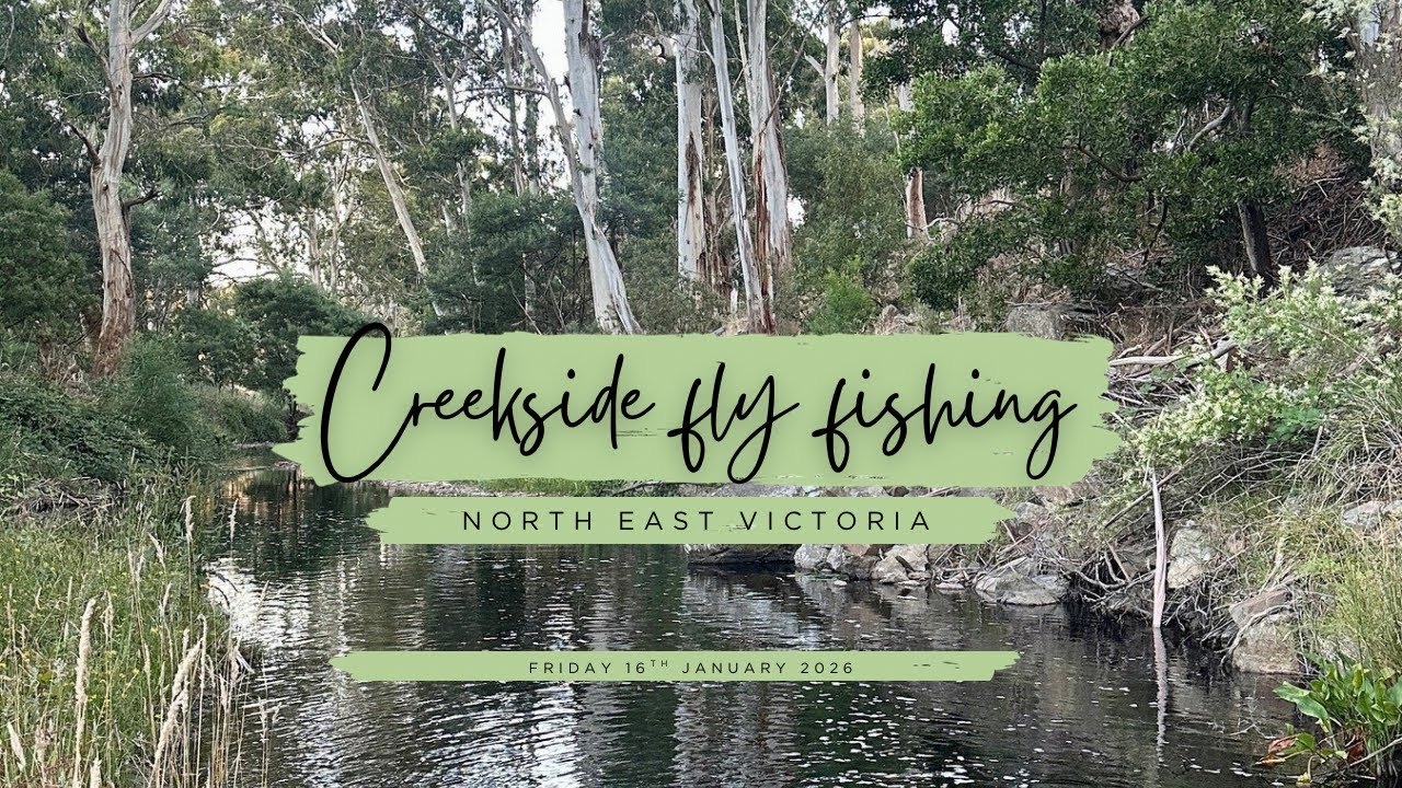 Fly Fishing North East Victoria - 16/01/2026 