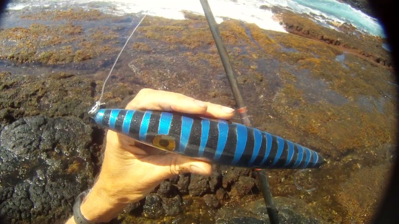 GOPR2100