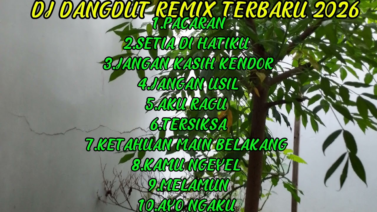 DJ DANGDUT REMIX TERBARU 2026,DJ PACARAN #dangdutremix #dangdutkoplo #djdangdut #lagudangdut #dangdu