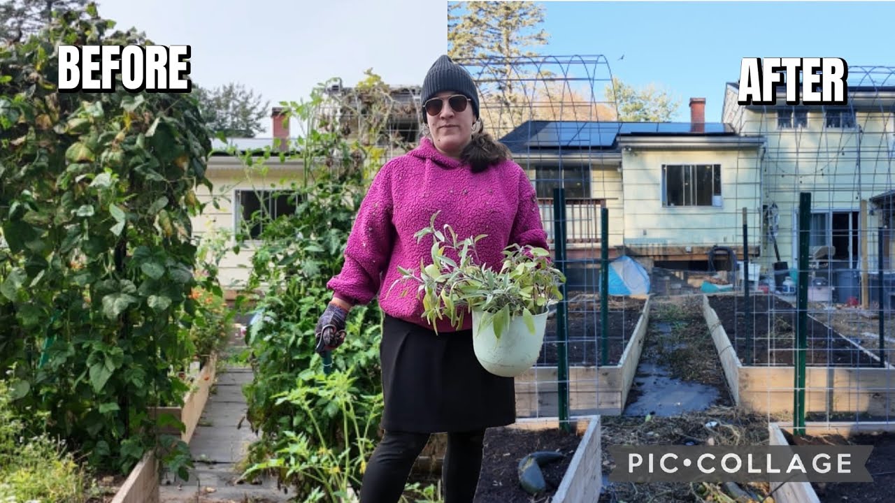 November Garden Reset: Clearing the Beds for Winter