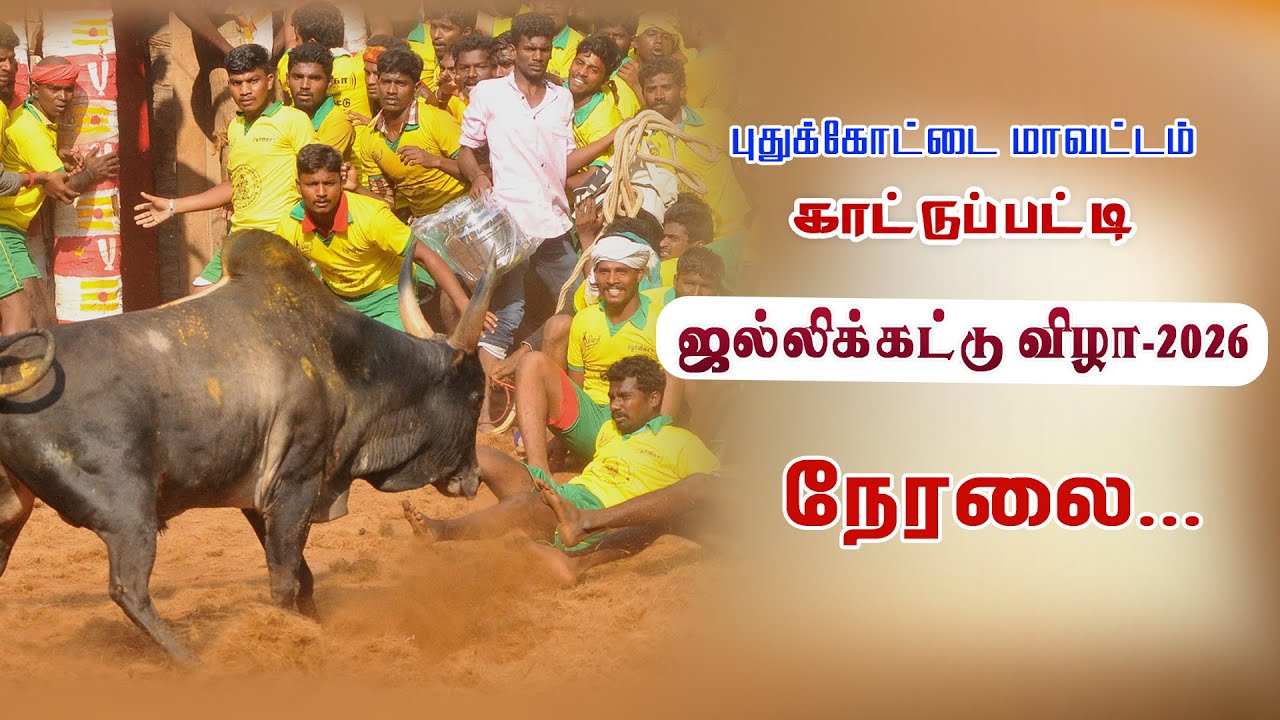 புதுக்கோட்டை மாவட்டம் காட்டுப்பட்டி ஜல்லிக்கட்டு 2026 நேரலை…