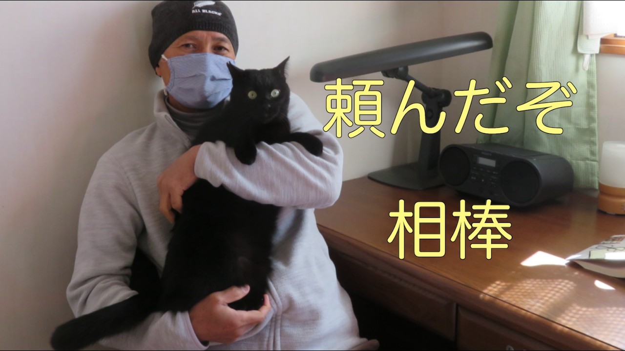 [63才猫暮らし]　61で退職して2年　退職後の相棒に黒猫を選んだ理由
