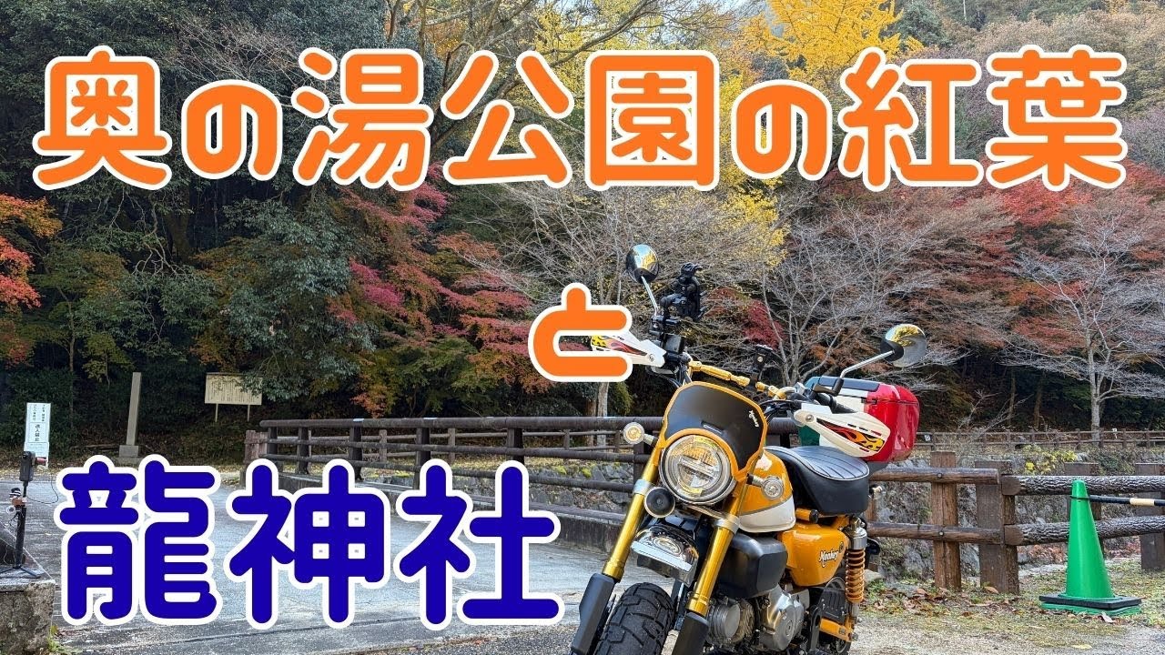 【モンキー125】紅葉と音を録りに行ったツーリング【紅葉狩り】