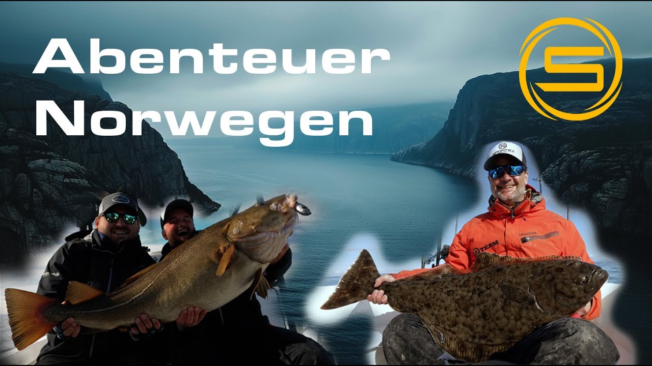 Zwischen Klippen & Wellen – Expedition Nordmeer 2025‼️