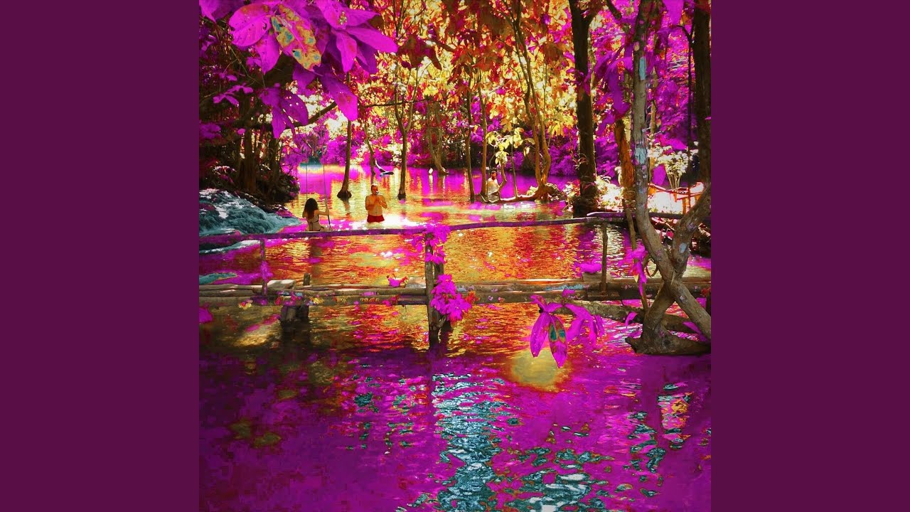 Manglar