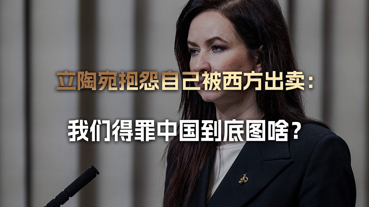 立陶宛总理：美国不感激欧盟不兜底，那中国我们不是白得罪了吗？